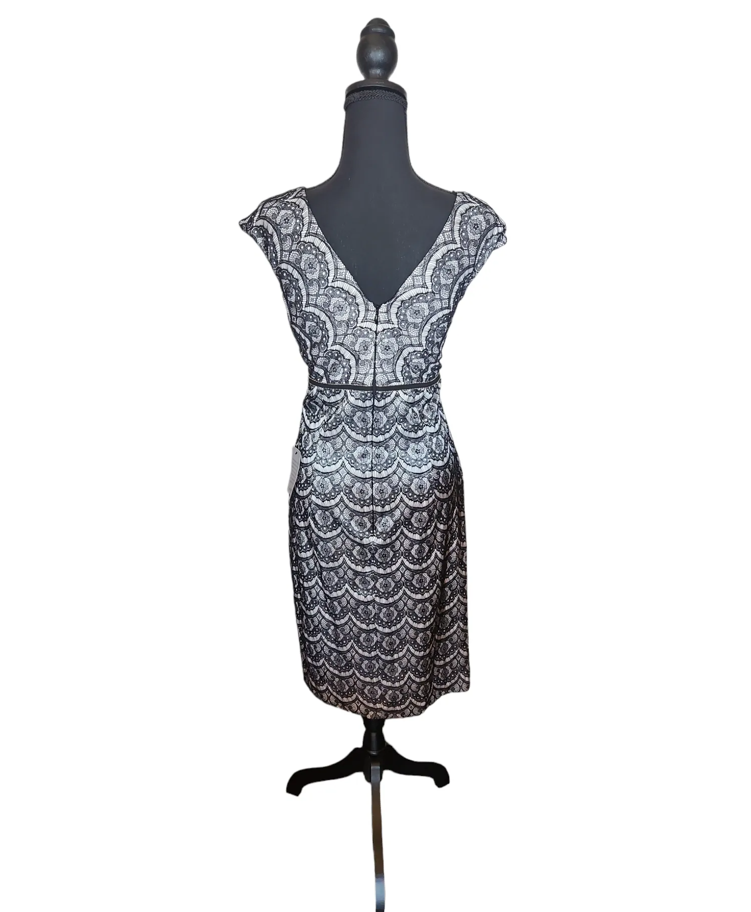 Adrianna Papell - Cream and Black Floral Lace Dress