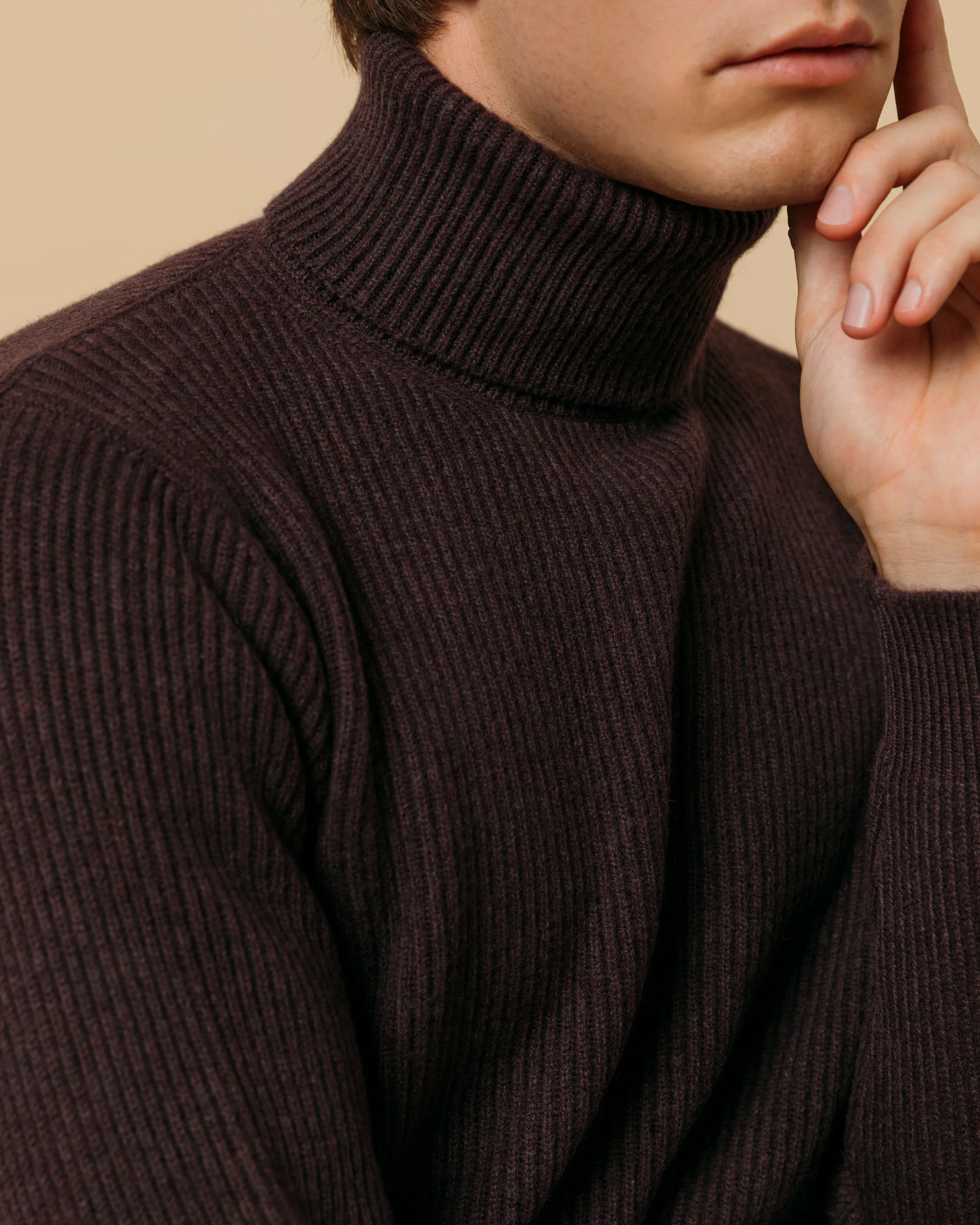Cashmere ribbed submariner rollneck in merlot