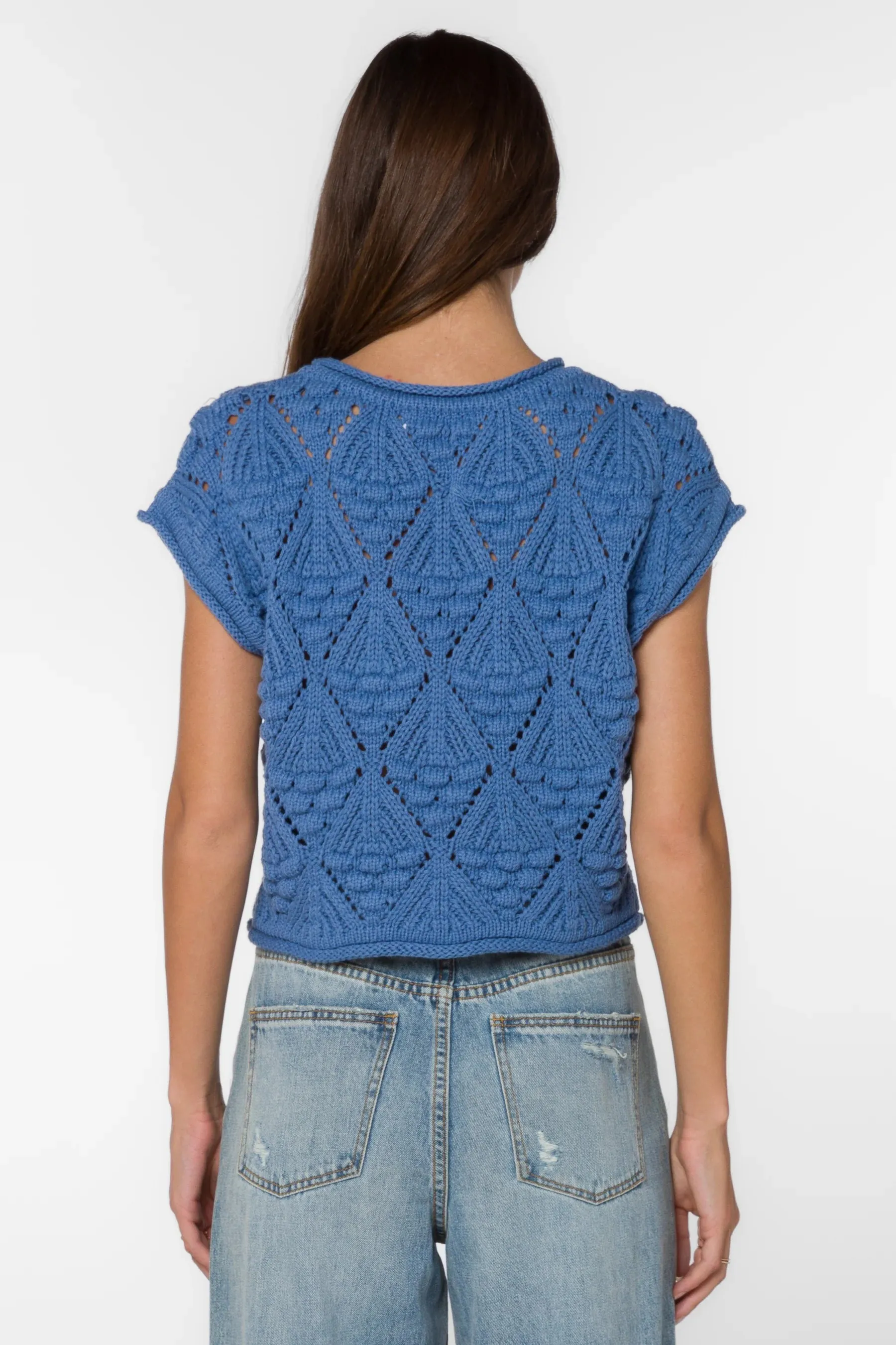 Darlita Short Sleeve Sweater in Dusk Blue