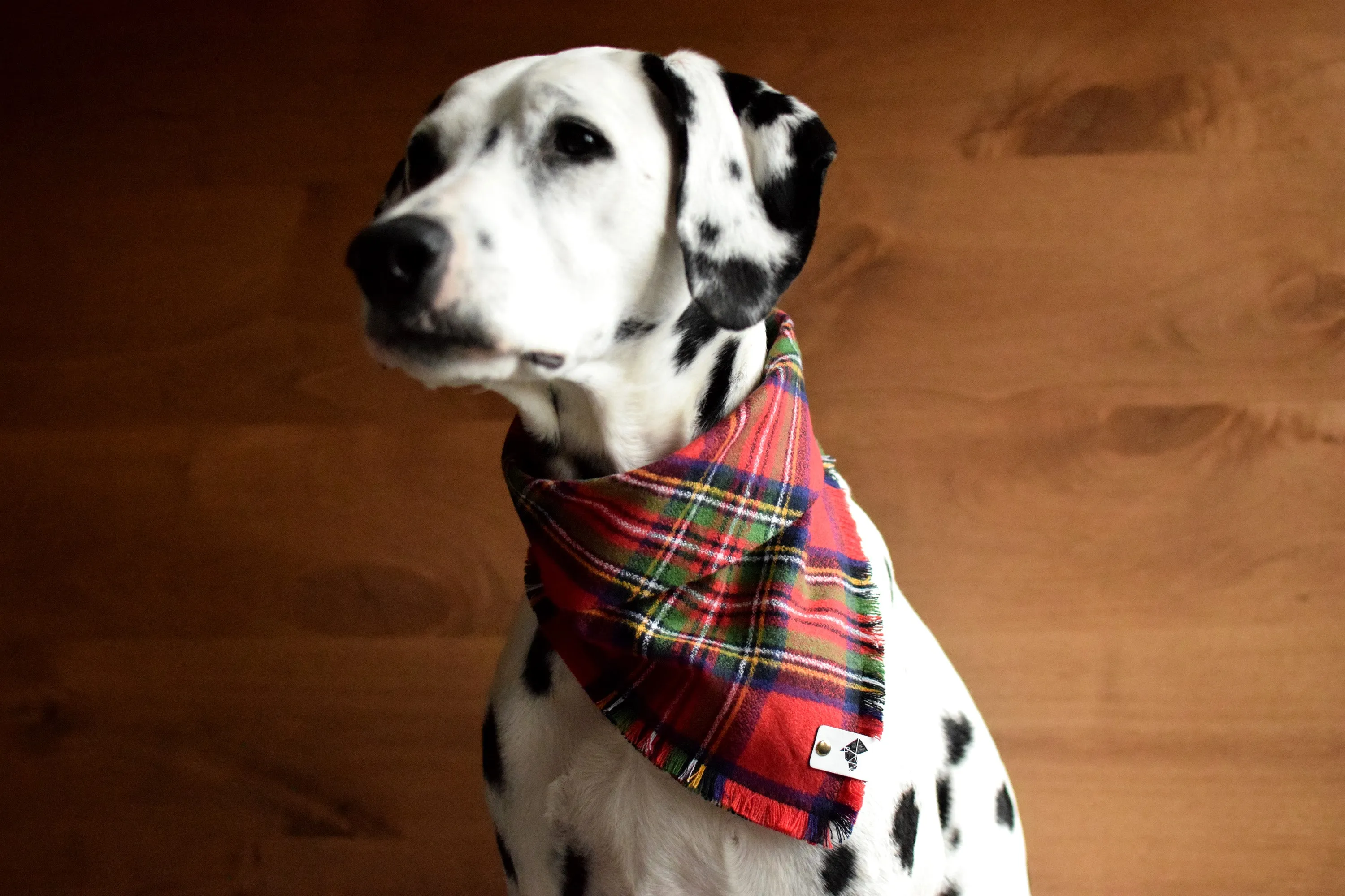 HOLLY Fringed Flannel Dog Bandana - Snap/Tie On Cotton Scarf