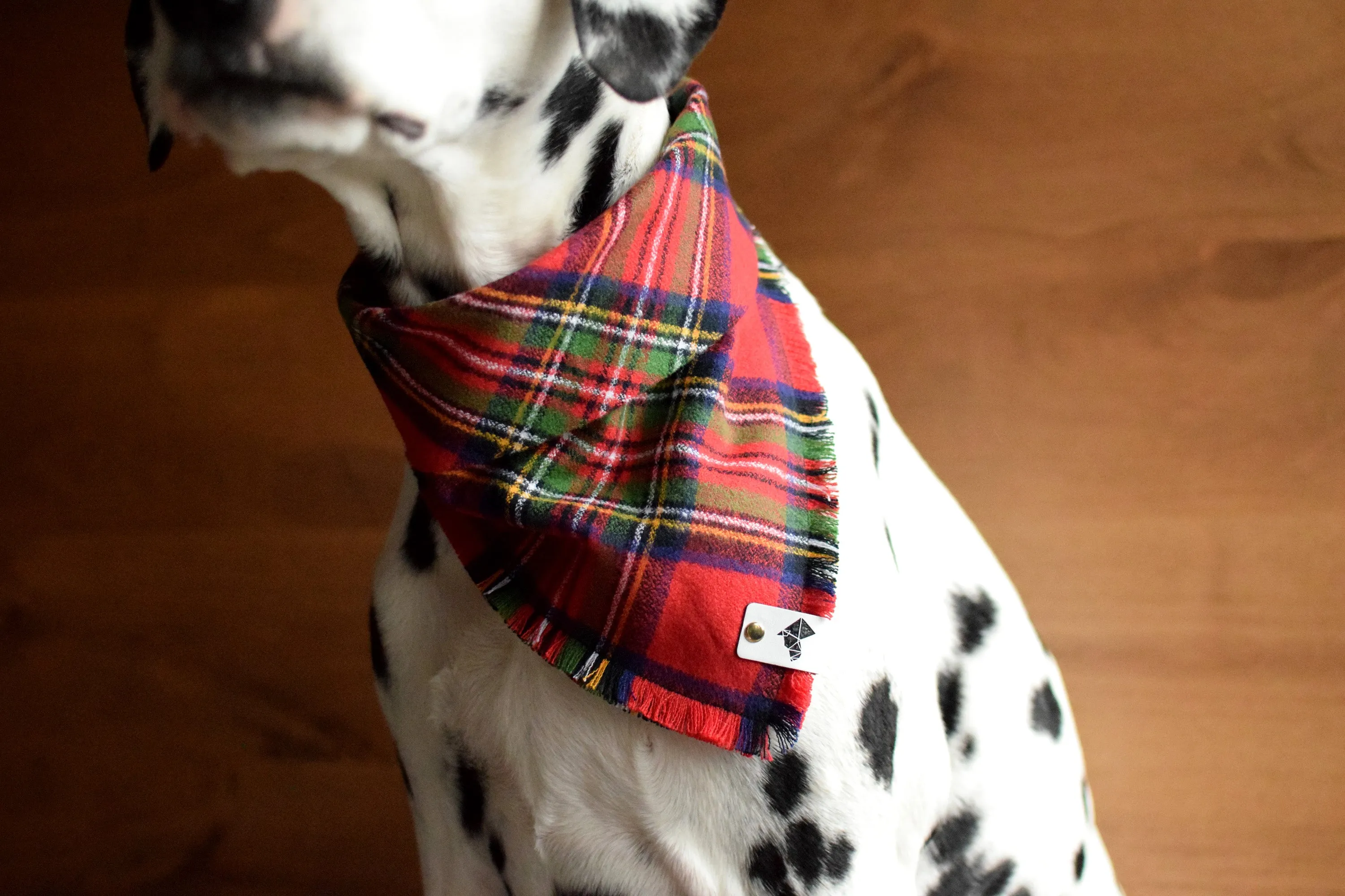HOLLY Fringed Flannel Dog Bandana - Snap/Tie On Cotton Scarf
