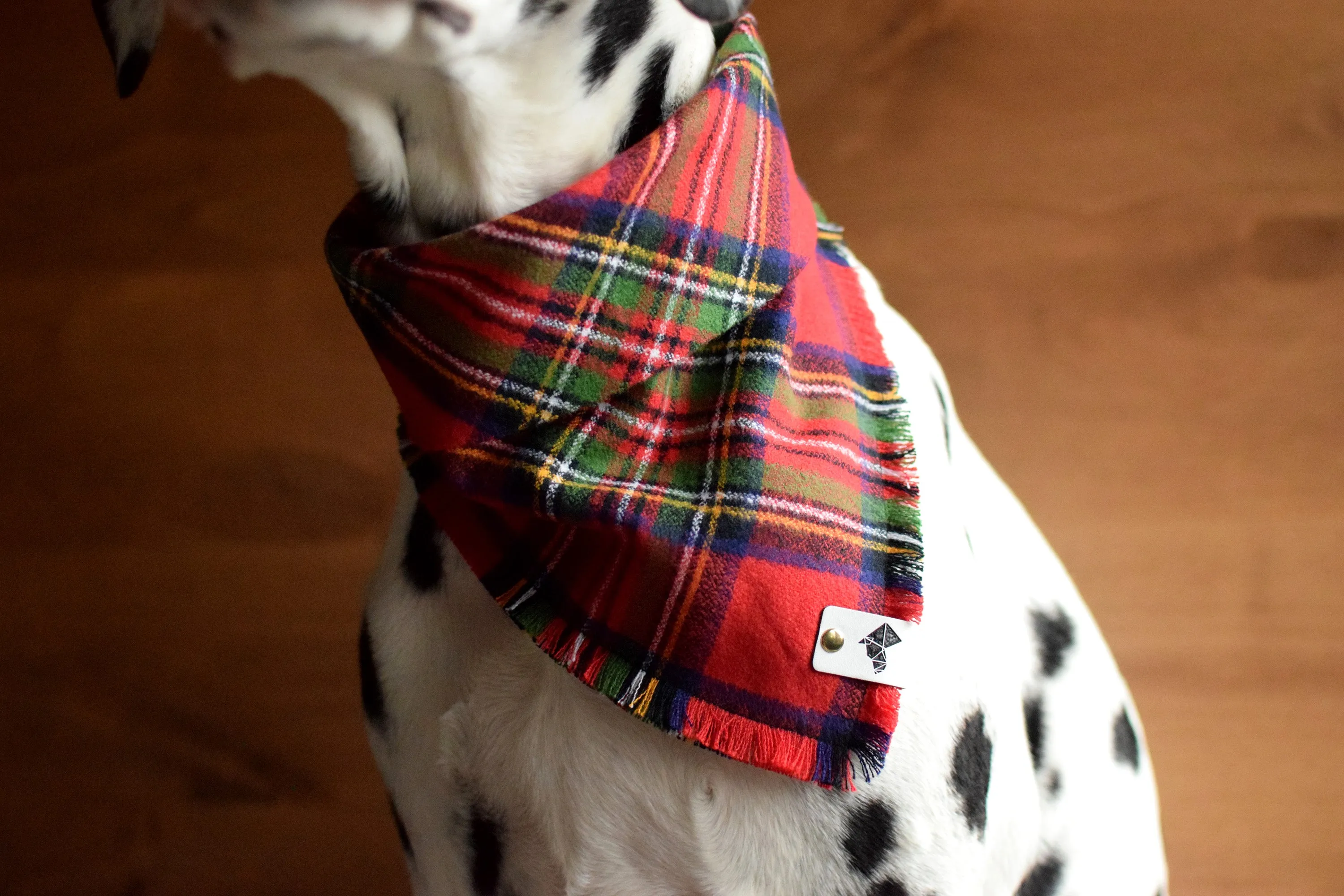 HOLLY Fringed Flannel Dog Bandana - Snap/Tie On Cotton Scarf