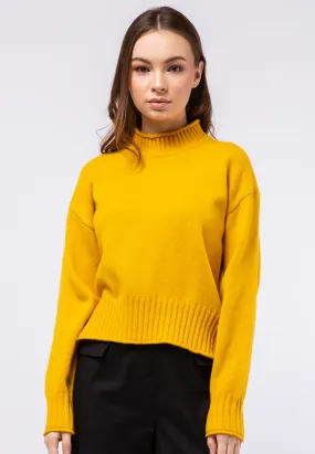 Long Sleeve Crop Sweater