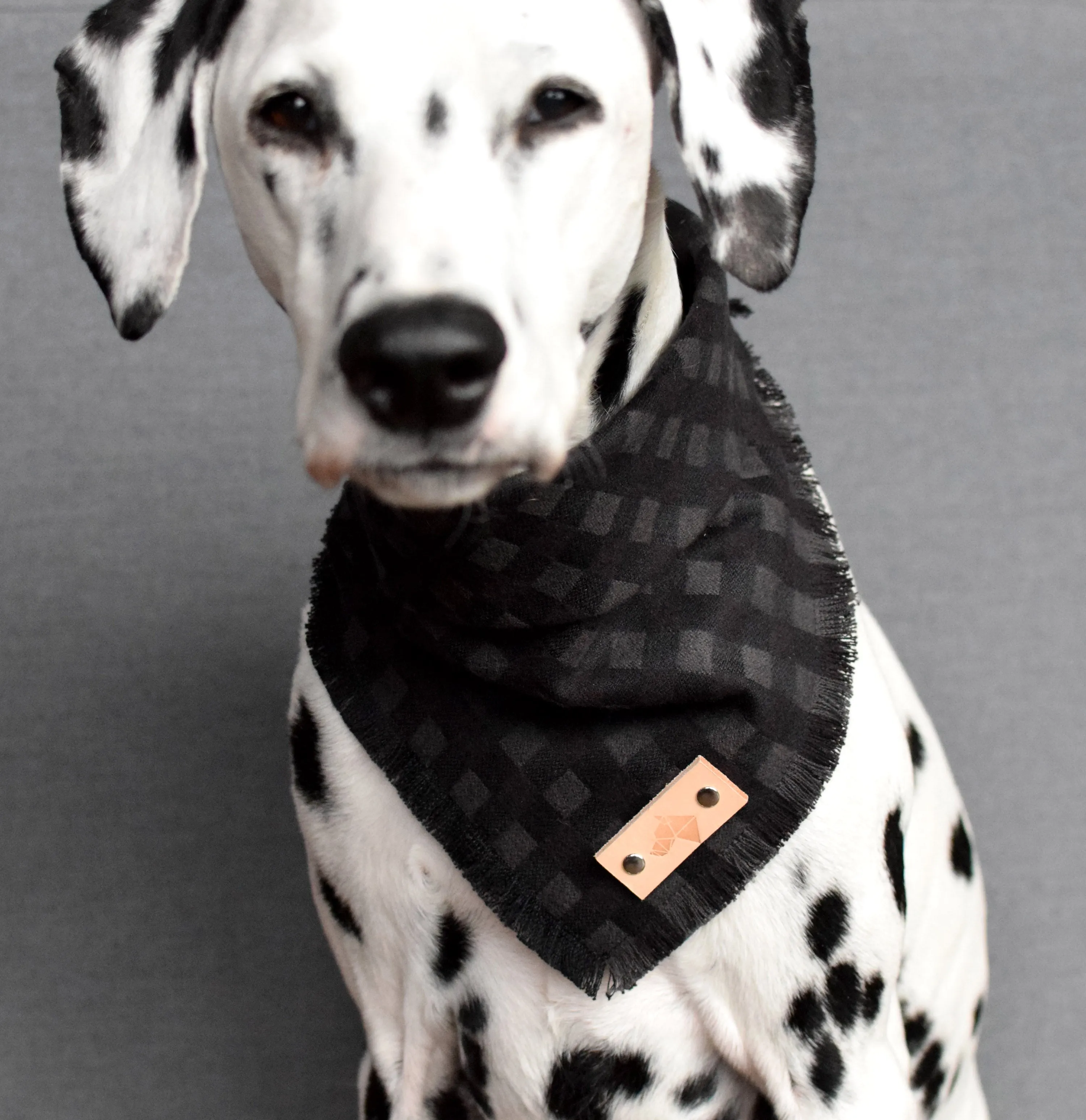 SEPIA Fringed Flannel Dog Bandana - Snap/Tie On Cotton Scarf