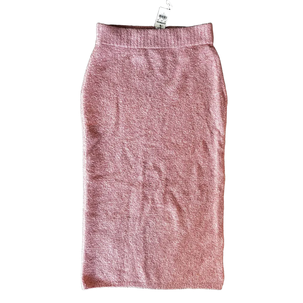 Skirt Maxi By Express  Size: S